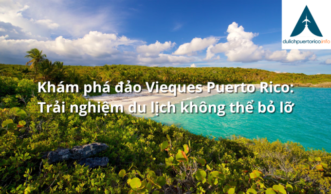 Khám phá đảo Vieques Puerto Rico: Trải nghiệm du lịch không thể bỏ lỡ