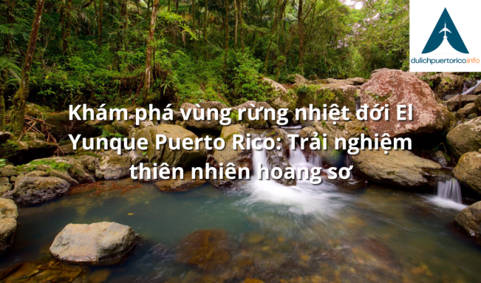 Khám phá vùng rừng nhiệt đới El Yunque Puerto Rico: Trải nghiệm thiên nhiên hoang sơ